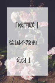 欧国联｜德国不敌葡萄牙